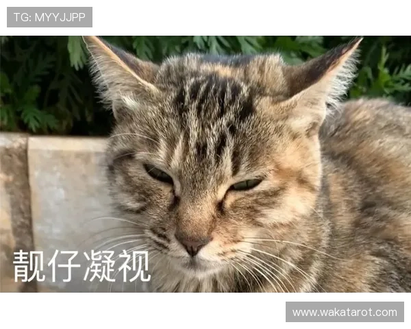 闆烽渾澶╃帇灞卞ぇ鎹凤紒浜氬巻灞卞ぇ 31+10+4 甯斤紝鏉颁鸡 40 鍒嗙牬绾綍锛屾琛岃€呭弻鏍稿績鎶樻垷 闆烽渾澶╃帇灞卞ぇ鎹凤紒浜氬巻灞卞ぇ 31+10+4 甯斤紝鏉颁鸡 40 鍒嗙牬绾綍锛屾琛岃€呭弻鏍稿績鎶樻垷